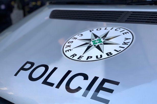 Dvaja Slovaci a Cech si vypoculi verdikt za lupez v zmenarni v hokejovych dresoch