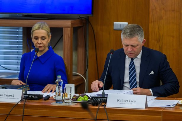 Isli sme na hranicu mozneho Sakova priblizila garancie EU pre Slovensko v plyne