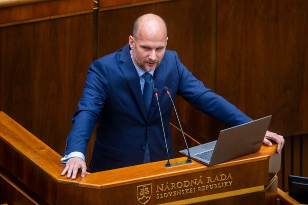 Koaliciu vedie k zmene volebnzch pravidiel strach zo straty moci