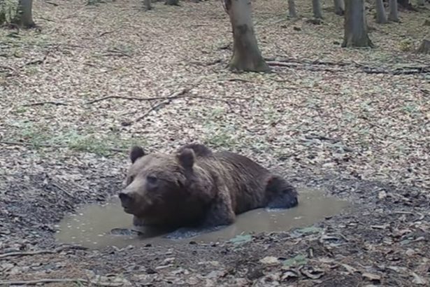 Martincan monitoruje horsky wellness s unikatnymi zabermi