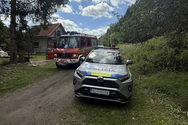 Na dvore rodinneho domu spadlo batola do zumpy