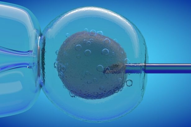 Narodili sa deti s DNA troch ludi