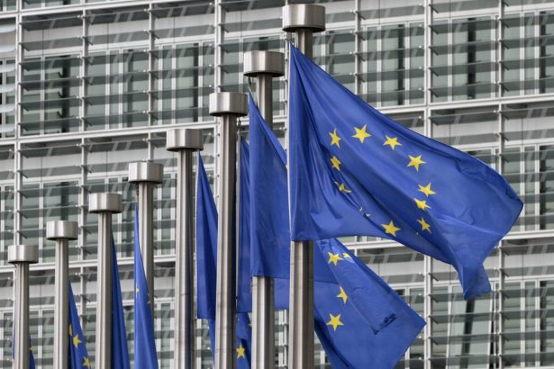 Nemecky minister vnutra sa zhodol na sprisneni migracie