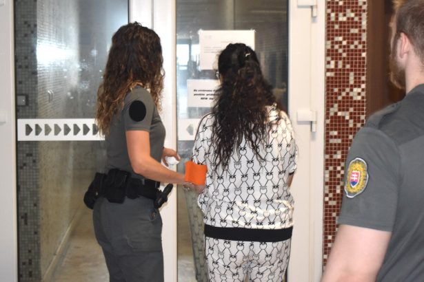 Policajna akcia Grizelda je na sude Drogova dilerka sa priznala na slobodu ju nepustili