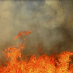 Pozar zachvatil baliky slamy hasici zasahuju