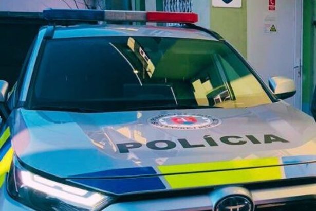 Pred par dnami odisla z domu policia patra