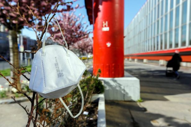 V Madarsku nasli novy variant koronavirusu Nimbus