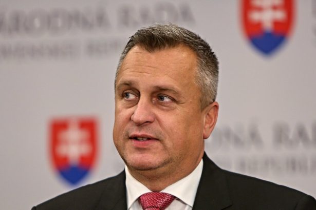 Danko ocakava zrusenie tendra na zachranky inak vyzyva Saska na odchod z funkcie