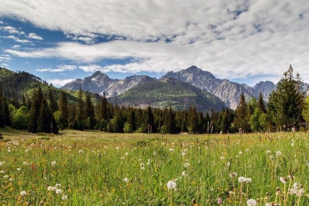 Demokrati V narodnych parkoch su skandalozne ustupky developerom