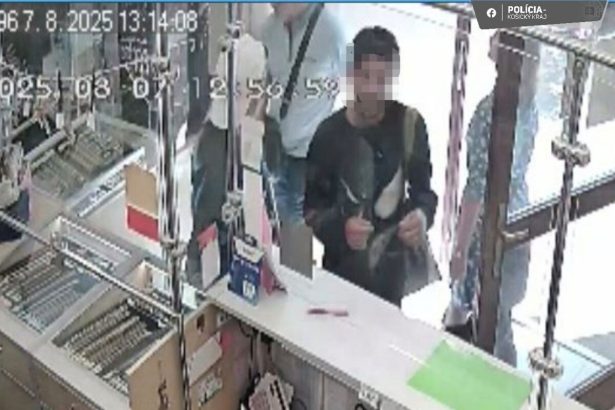 Dvaja muzi okradli seniorku na zastavke