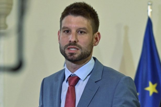 Fico prekrva skandal so zachrankami tvrdi Simecka