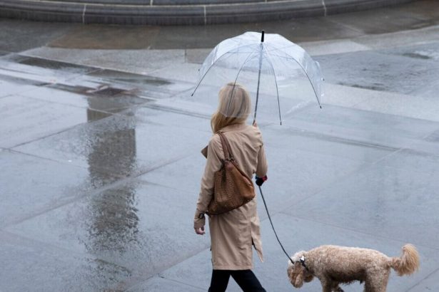 Na celom uzemi Slovenska moze byt dazd v noci