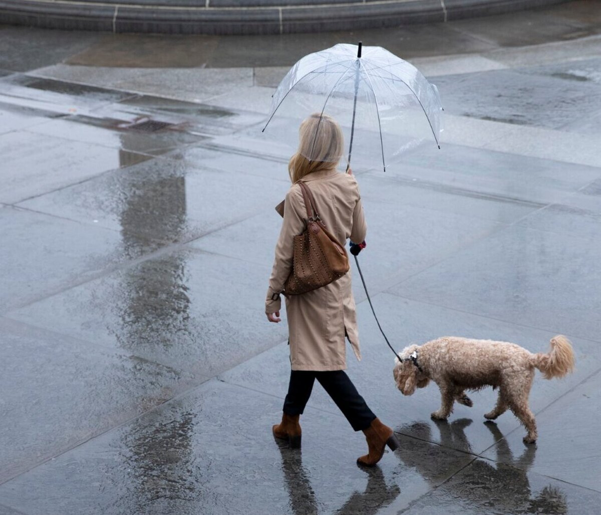 Na celom uzemi Slovenska moze byt dazd v noci