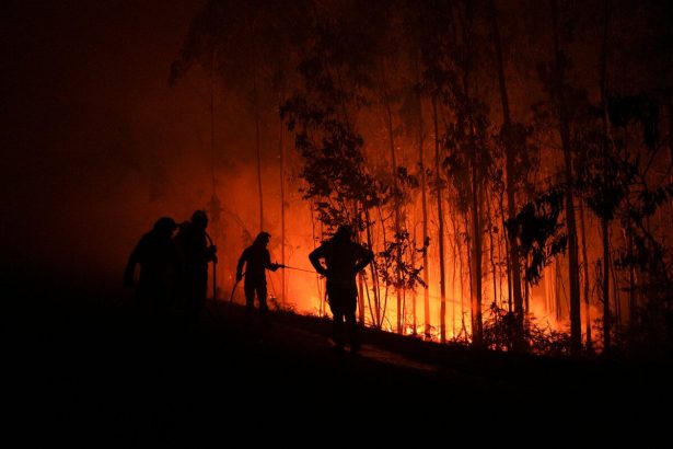 Na juhu vari zaziva na severe sa nehybu soby