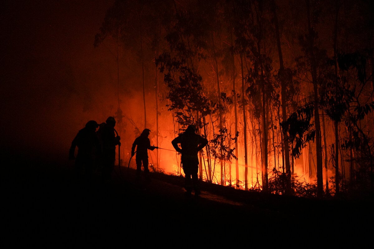 Na juhu vari zaziva na severe sa nehybu soby
