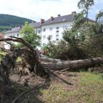 Obce zasiahnute veternou smrstou dostali 400 tisic eur