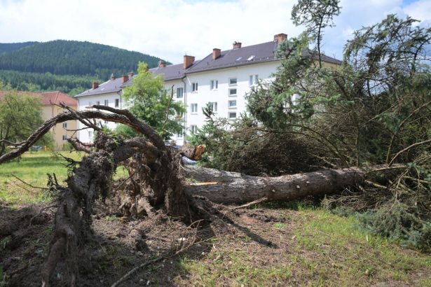 Obce zasiahnute veternou smrstou dostali 400 tisic eur