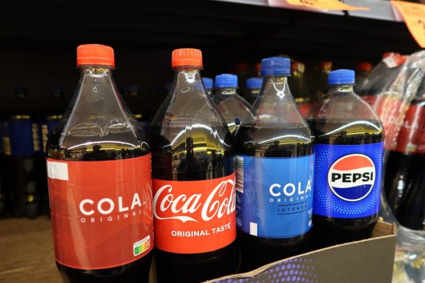 Po zavedeni novej dane klesla spotreba sladenych napojov