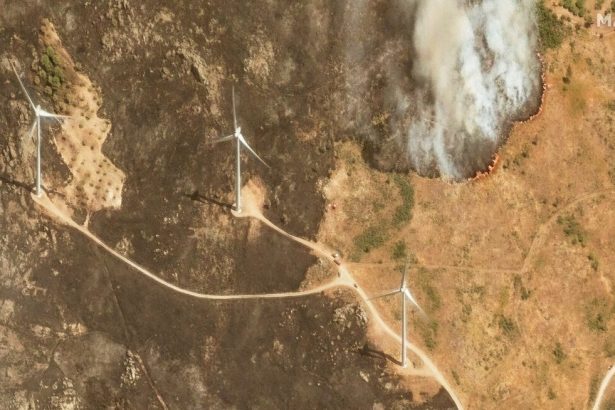 Poziare v Portugalsku maju prvu obet byvaly starosta zahynul pri haseni