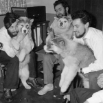 Prepadol sa do trhliny v ladovci nasli ostatky Dennisa Bella