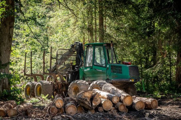 Slovensko bude pokracovat v tazbe dreva hovori Taraba