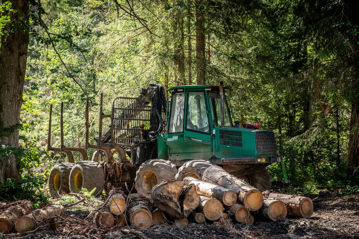Slovensko bude pokracovat v tazbe dreva hovori Taraba