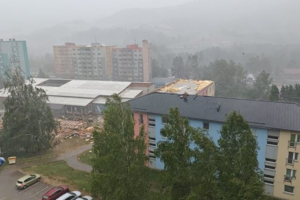 Stat vyplatil po veternych smrstiach vyse 400 tisic eur