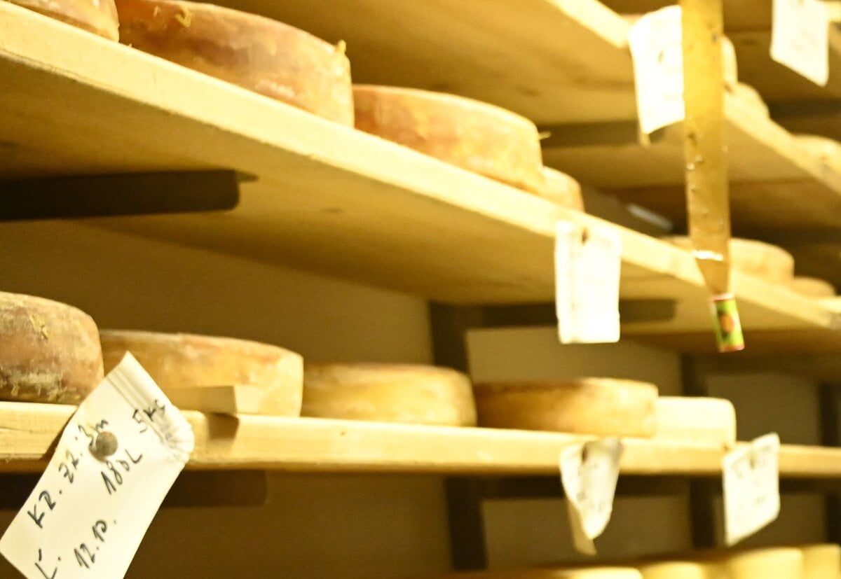 Svajciarsko lobuje vo Washingtone za zlacnenie syra