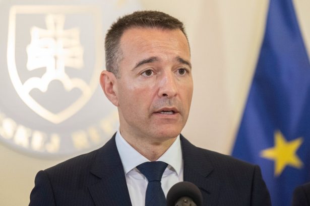 Vlada bude rokovat o troch skolskych zakonoch na piatkovom zasadnuti