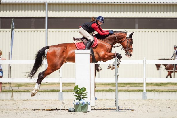 Vo svete sposobil senzaciu dochodkuje na Slovensku