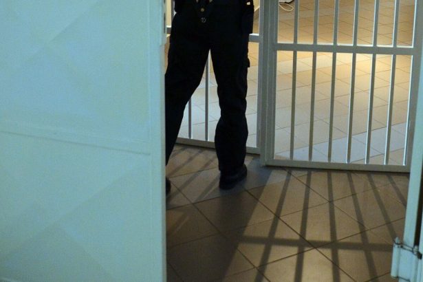 Vodcu Islamskeho statu v Nemecku mozu vyhostit