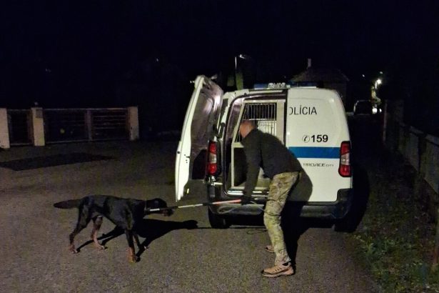 Agresivny doberman v Ziline zautocil na majitelku