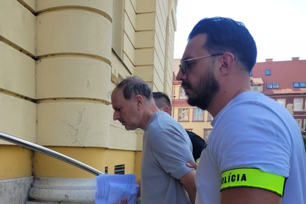 Auto pouzil ako zbran zrazil zenu