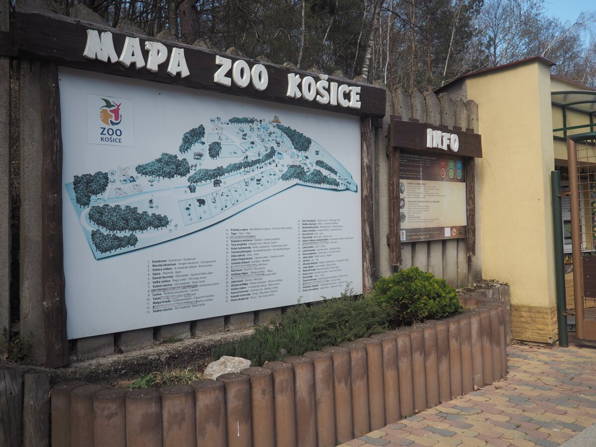 Dlhych rokov krivda napokon protest Vlastnici pozemkov pod zoo sa dockali planu vykupu