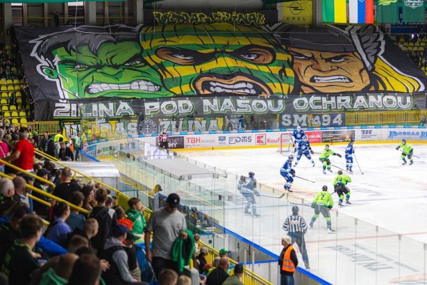 Hokejovy senat riesil vulgarizmy fanusikov kluby napomenute