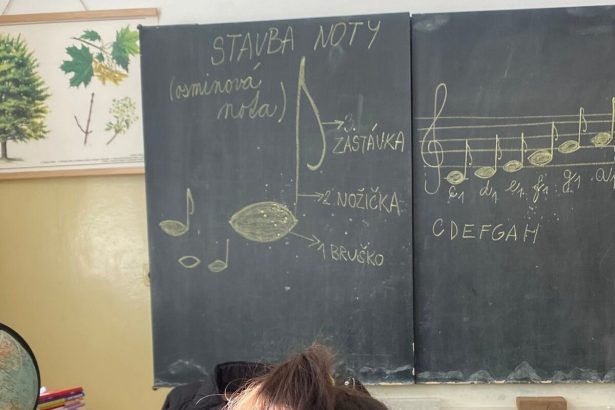 Jeden clovek posobi v siestich sukromnych skolach