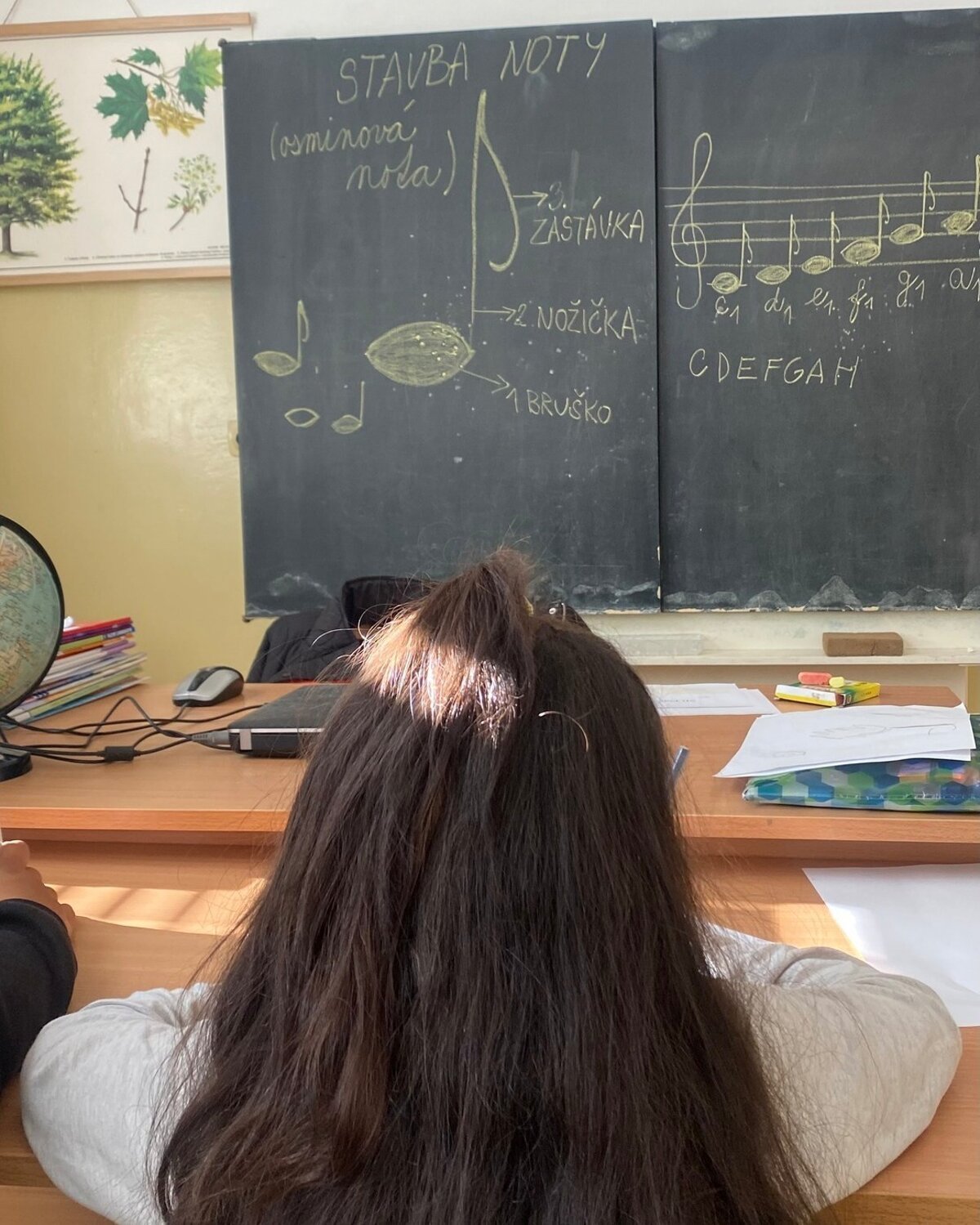 Jeden clovek posobi v siestich sukromnych skolach