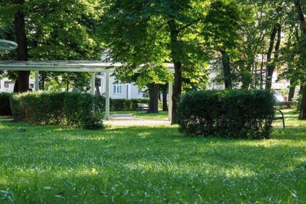 Mesto Poprad chce zvysit bezpecnost v parku