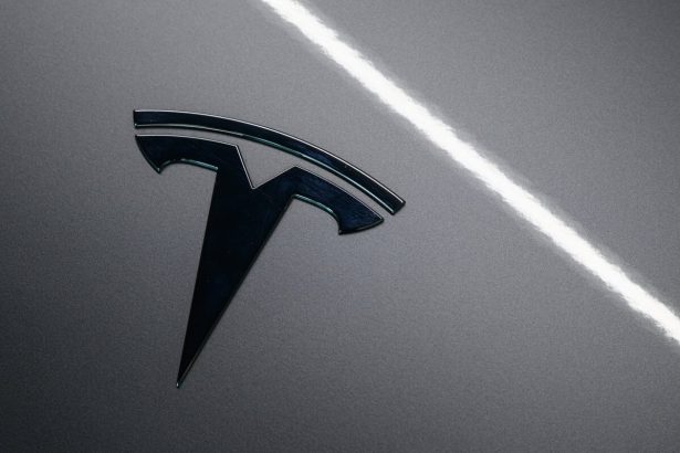 Podiel Tesly na trhu s elektromobilmi klesol najnizsie