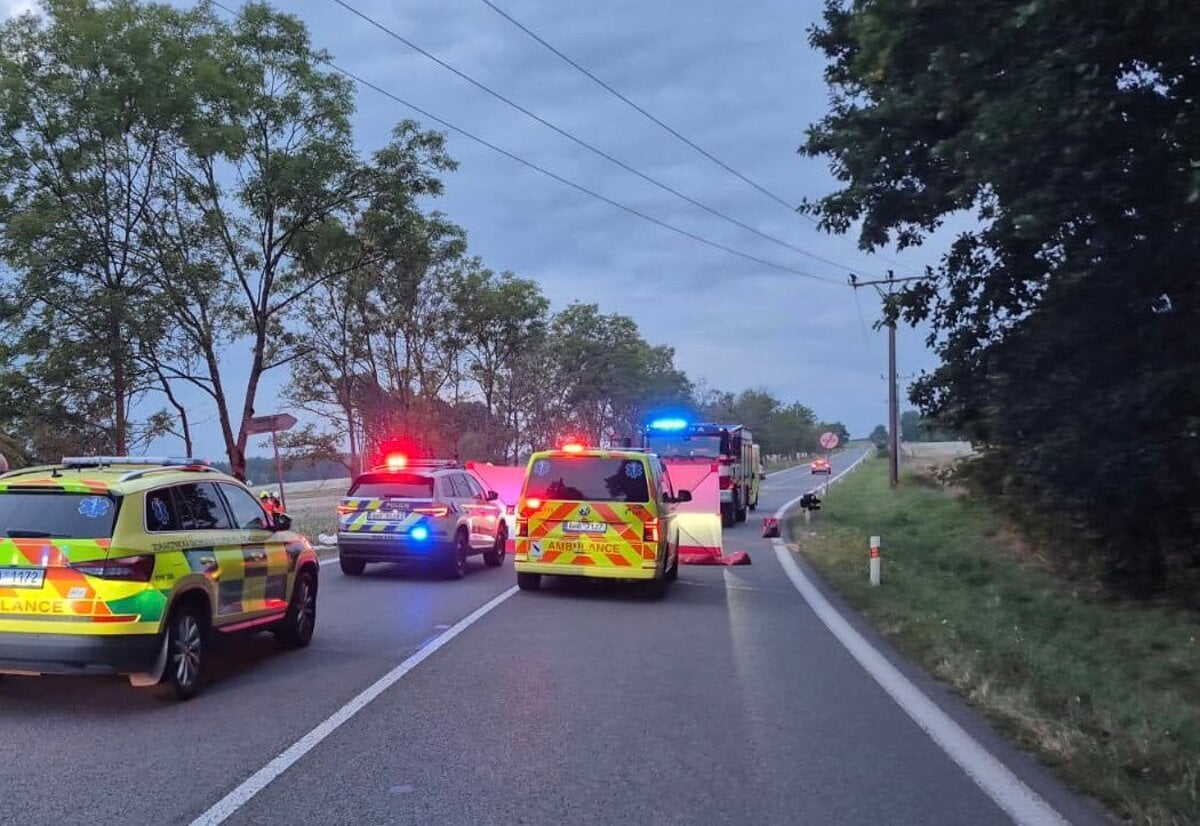 Pri celnej zrazke aut v Cechach zomreli styria ludia