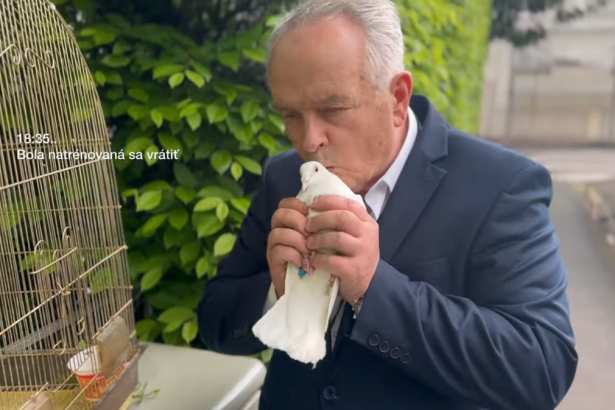 S odchodom Radacovskeho na Cyprus SNS vraj nic nema Michelko vidi dohodu so Smerom