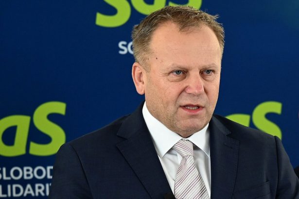 SaS kritizuje ministra prace za krytie podvodnikov