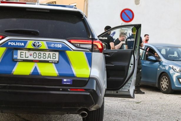 V obecnom byte sa odohravalo velke utrpenie Nalez policajtom vyrazil dych