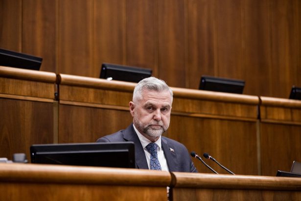 Gaspar by trestal za mobilizaciu pred volbami