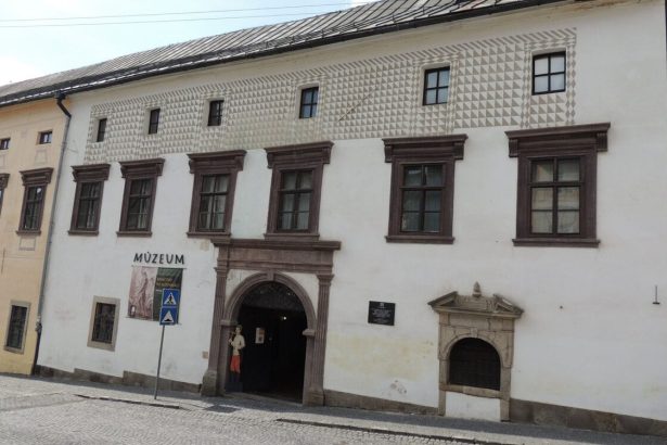 Konsolidacia v muzeu moze ohrozit buducnost