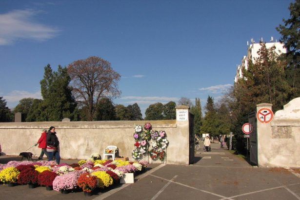 Mesto pocas Dusiciek posilni autobusove spoje