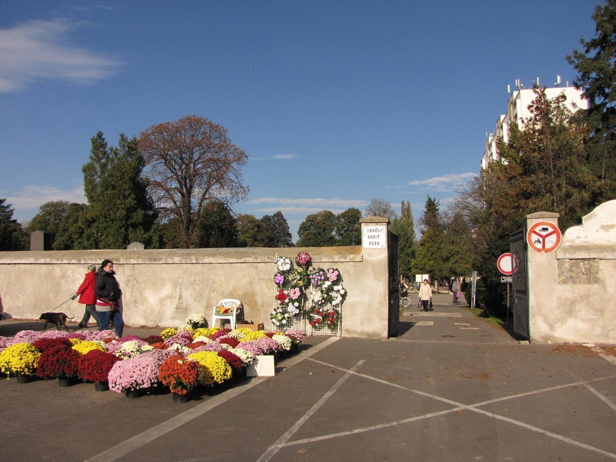 Mesto pocas Dusiciek posilni autobusove spoje
