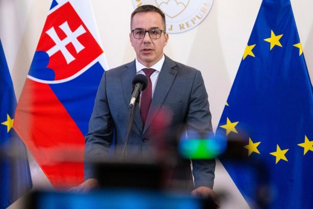 Minister Tomas predstavil novy program pre jednorodicov