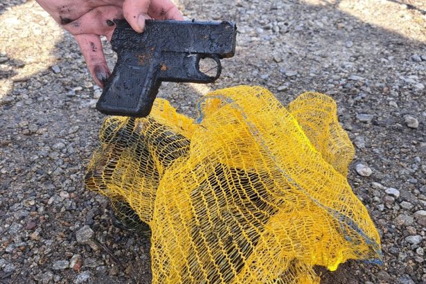 Pod hladinu Strbskeho plesa sa ponorilo 40 potapacov