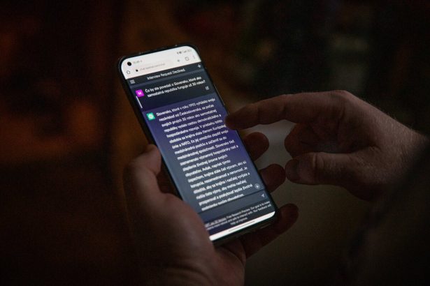 Polstina je najlepsim jazykom pre AI prikazy